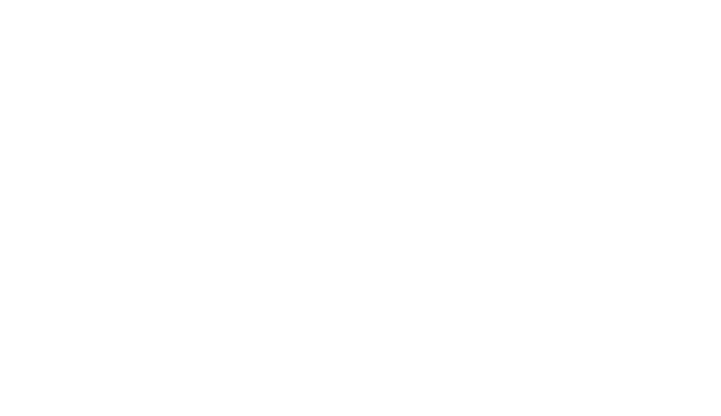 Logo HDS