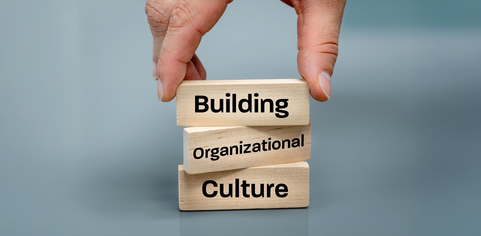 Medimos el GAP y FIT Cultural